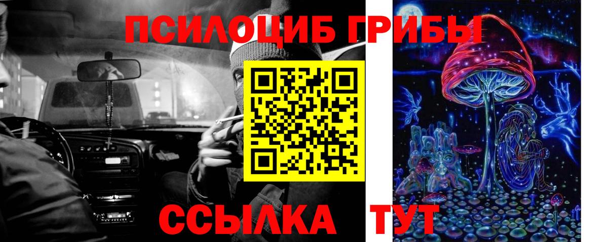 Псилоцибиновые грибы MAGIC MUSHROOMS  Вход с VPN  Севастополь  Псилоцибиновые грибы мухоморы 